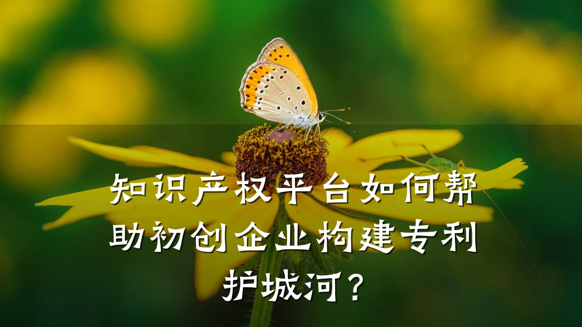 知识产权平台如何帮助初创企业构建专利护城河？