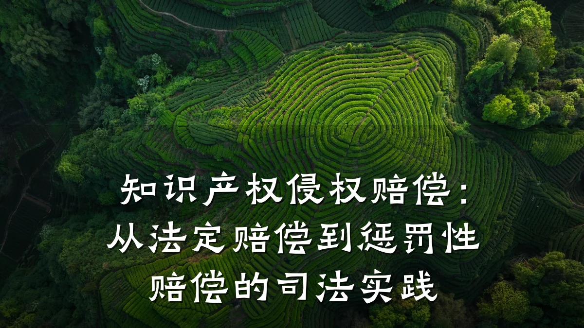 知识产权侵权赔偿：从法定赔偿到惩罚性赔偿的司法实践