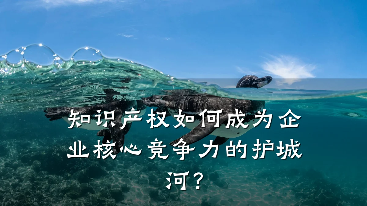知识产权如何成为企业核心竞争力的护城河?