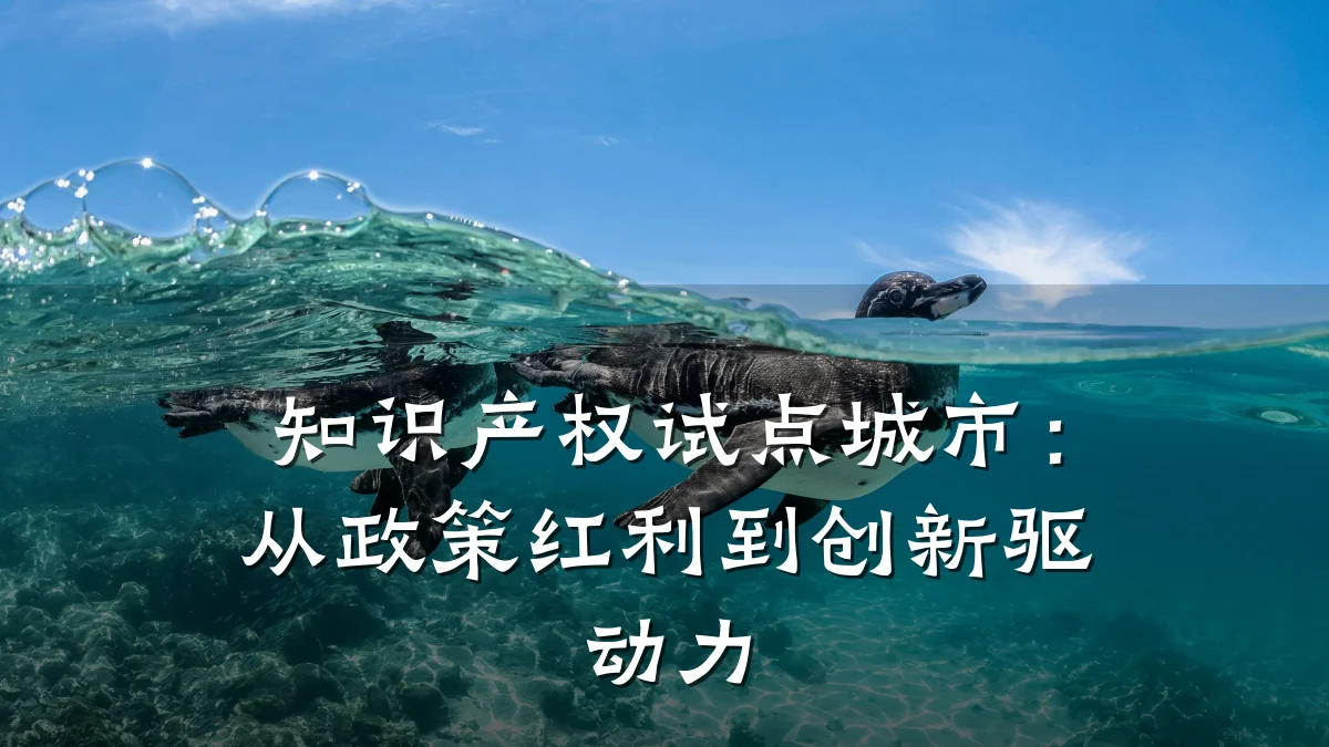 知识产权试点城市：从政策红利到创新驱动力
