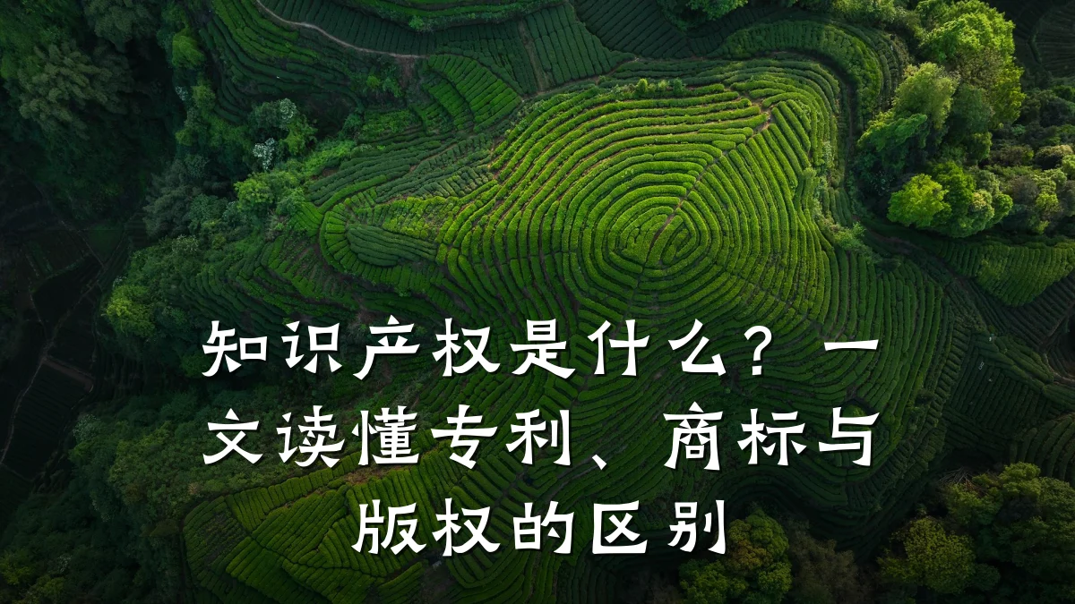 知识产权是什么？一文读懂专利、商标与版权的区别