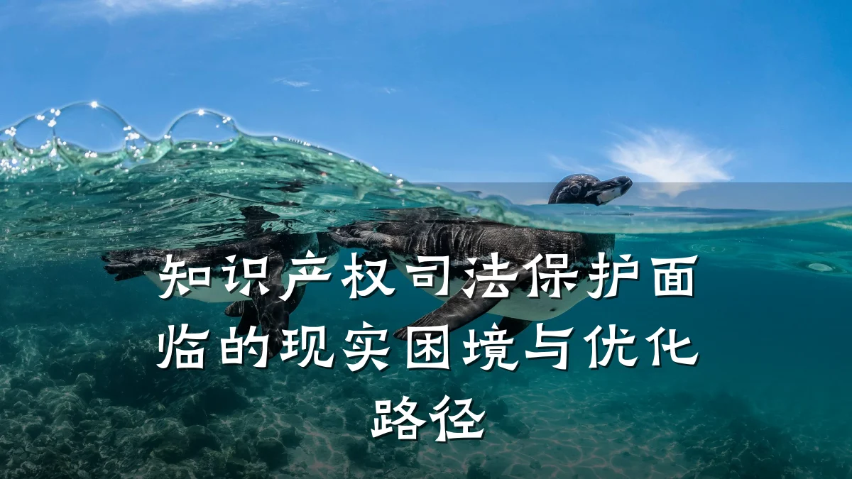 知识产权司法保护面临的现实困境与优化路径