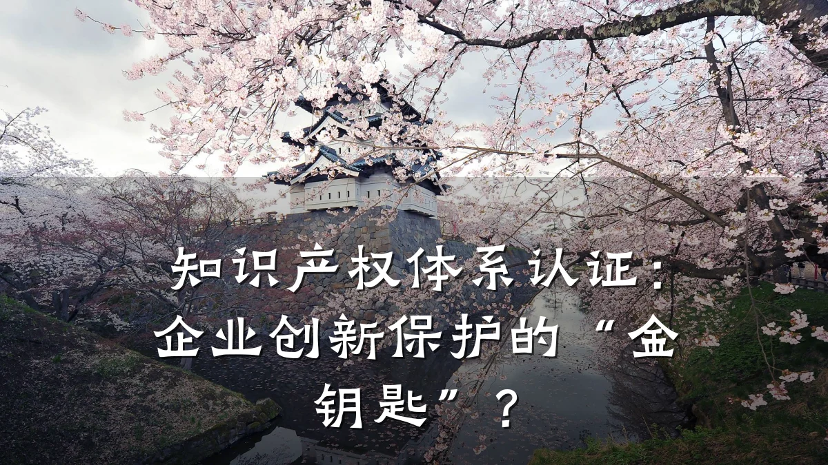 知识产权体系认证:企业创新保护的“金钥匙”?