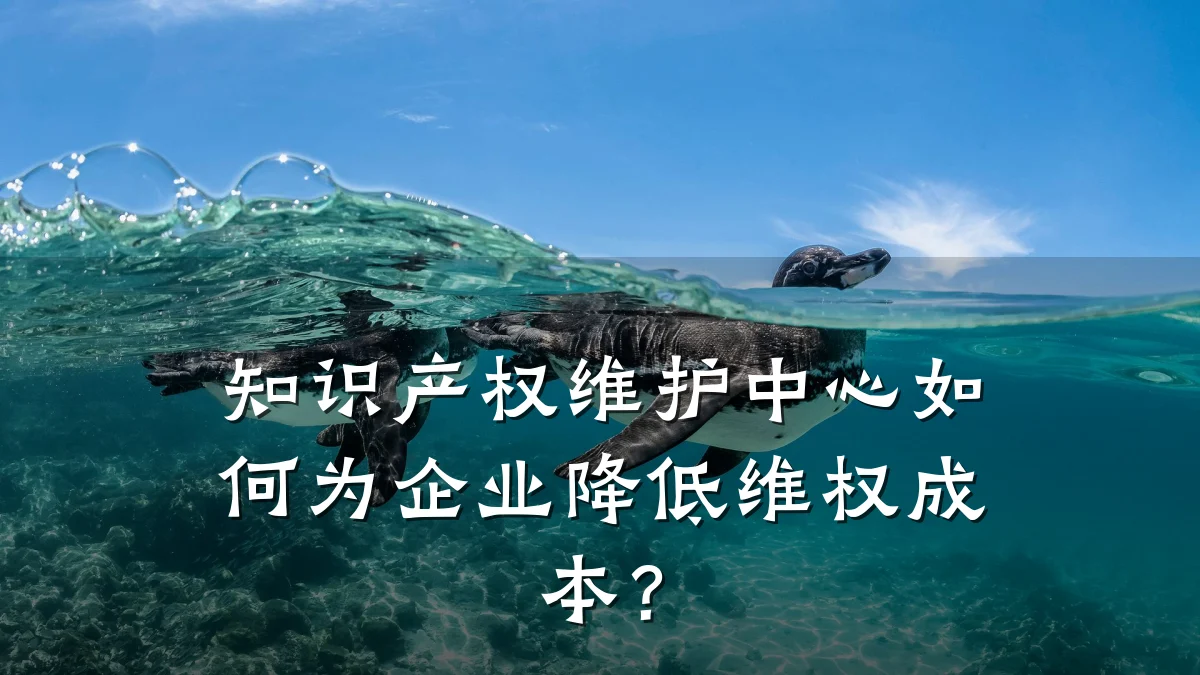 知识产权维护中心如何为企业降低维权成本？