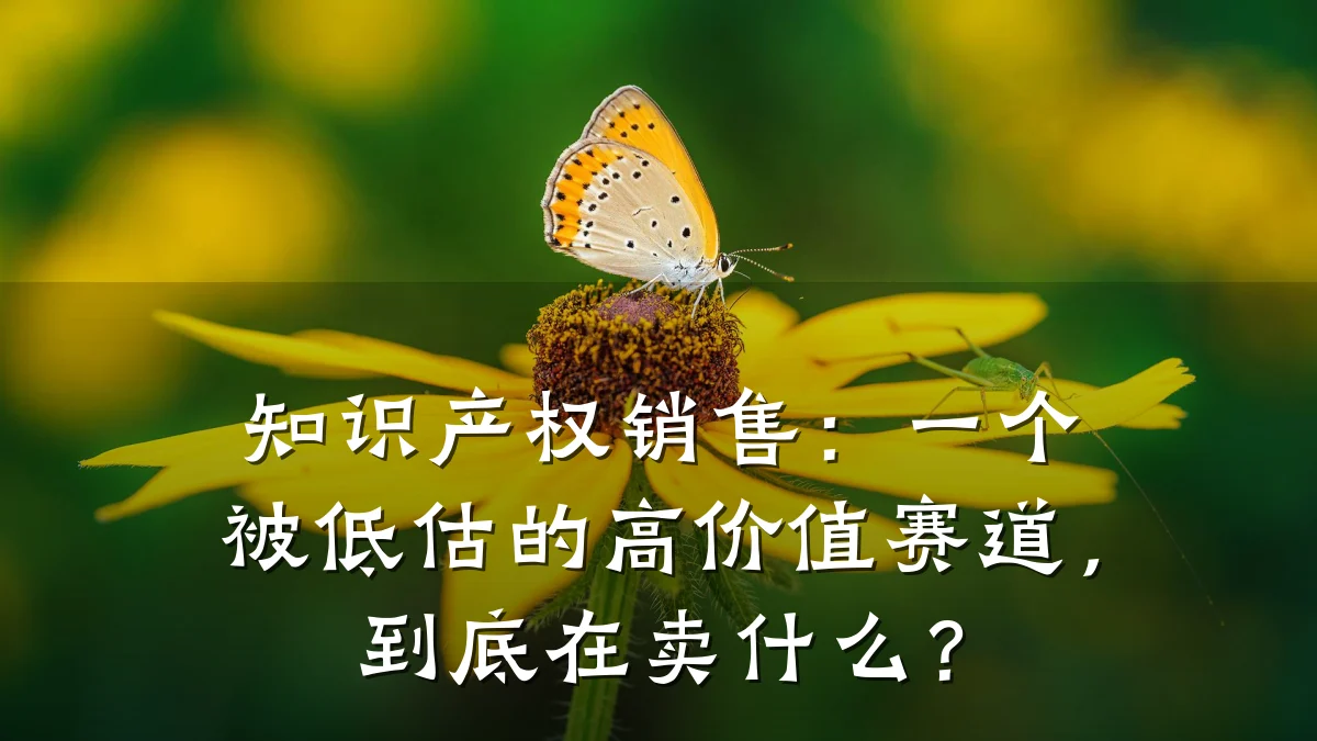 知识产权销售:一个被低估的高价值赛道,到底在卖什么?