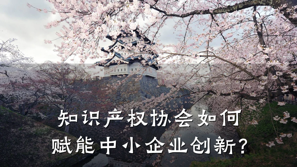 知识产权协会如何赋能中小企业创新？
