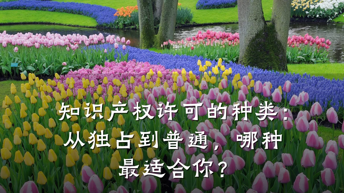 知识产权许可的种类：从独占到普通，哪种最适合你？
