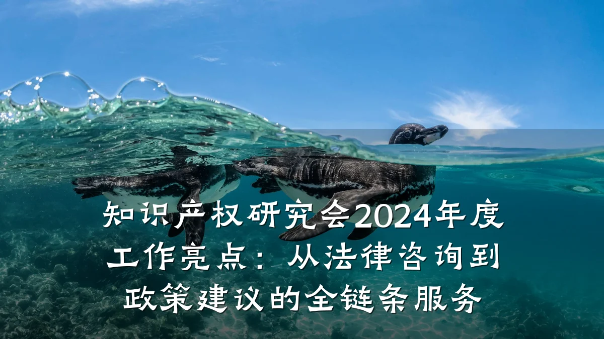 知识产权研究会2024年度工作亮点：从法律咨询到政策建议的全链条服务