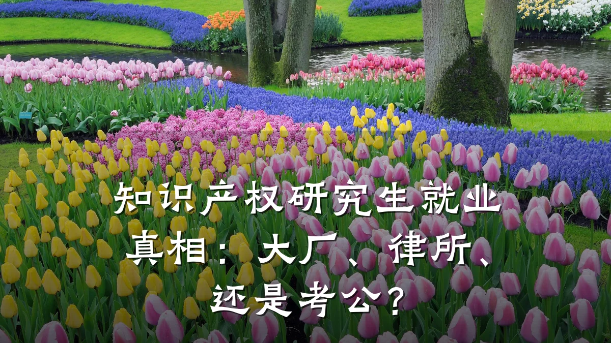 知识产权研究生就业真相:大厂、律所、还是考公?