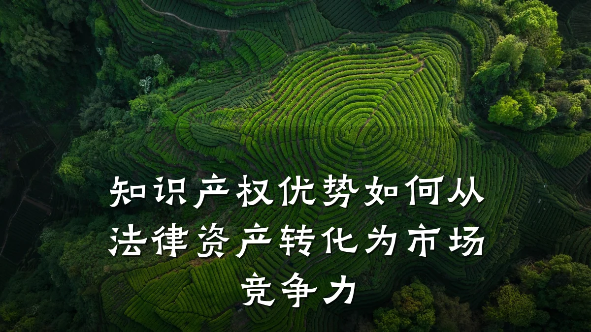 知识产权优势如何从法律资产转化为市场竞争力