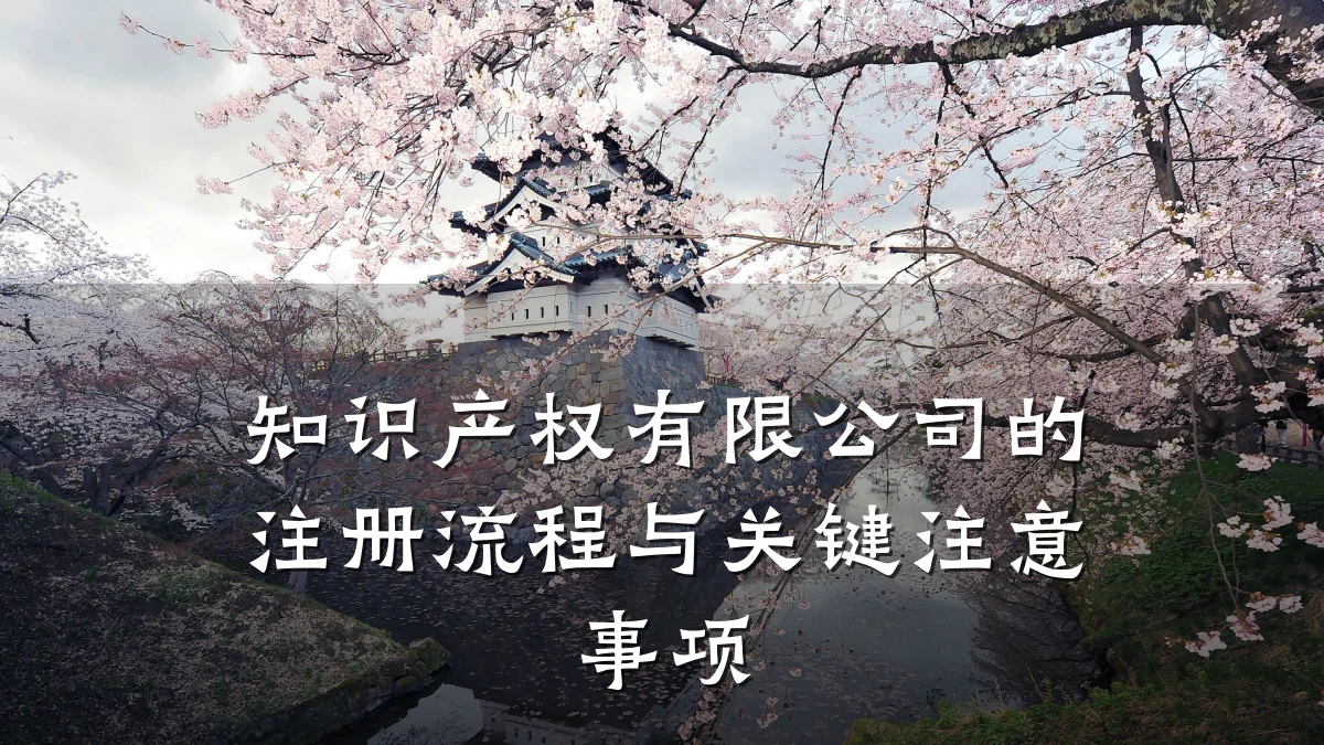 知识产权有限公司的注册流程与关键注意事项