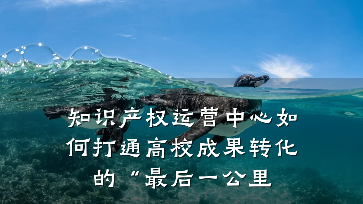 知识产权运营中心如何打通高校成果转化的“最后一公里