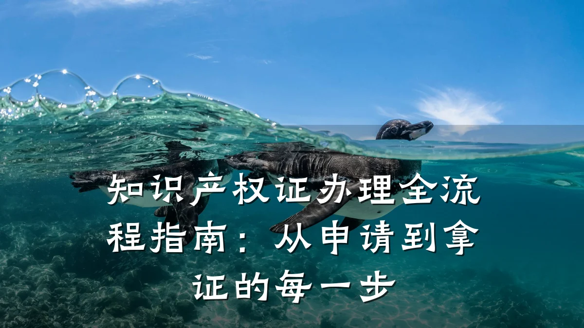 知识产权证办理全流程指南：从申请到拿证的每一步