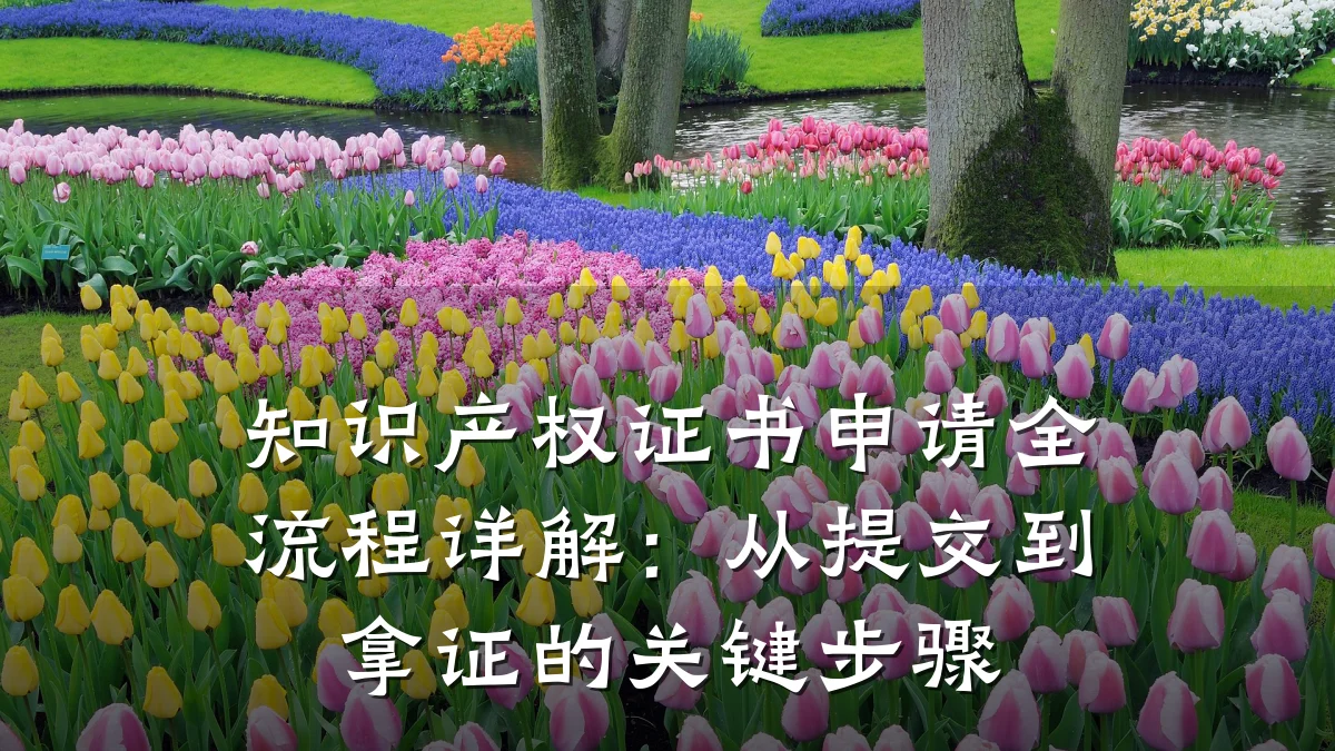 知识产权证书申请全流程详解：从提交到拿证的关键步骤