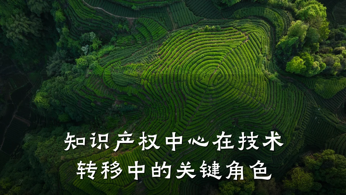 知识产权中心在技术转移中的关键角色