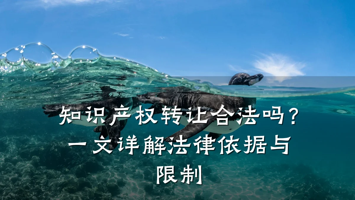 知识产权转让合法吗？一文详解法律依据与限制