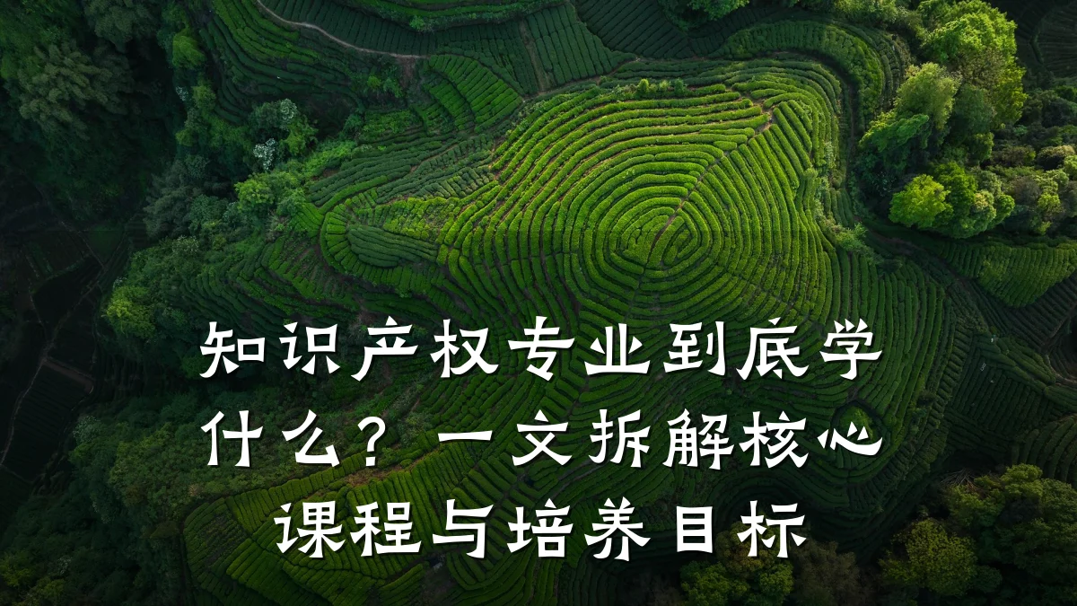 知识产权专业到底学什么？一文拆解核心课程与培养目标