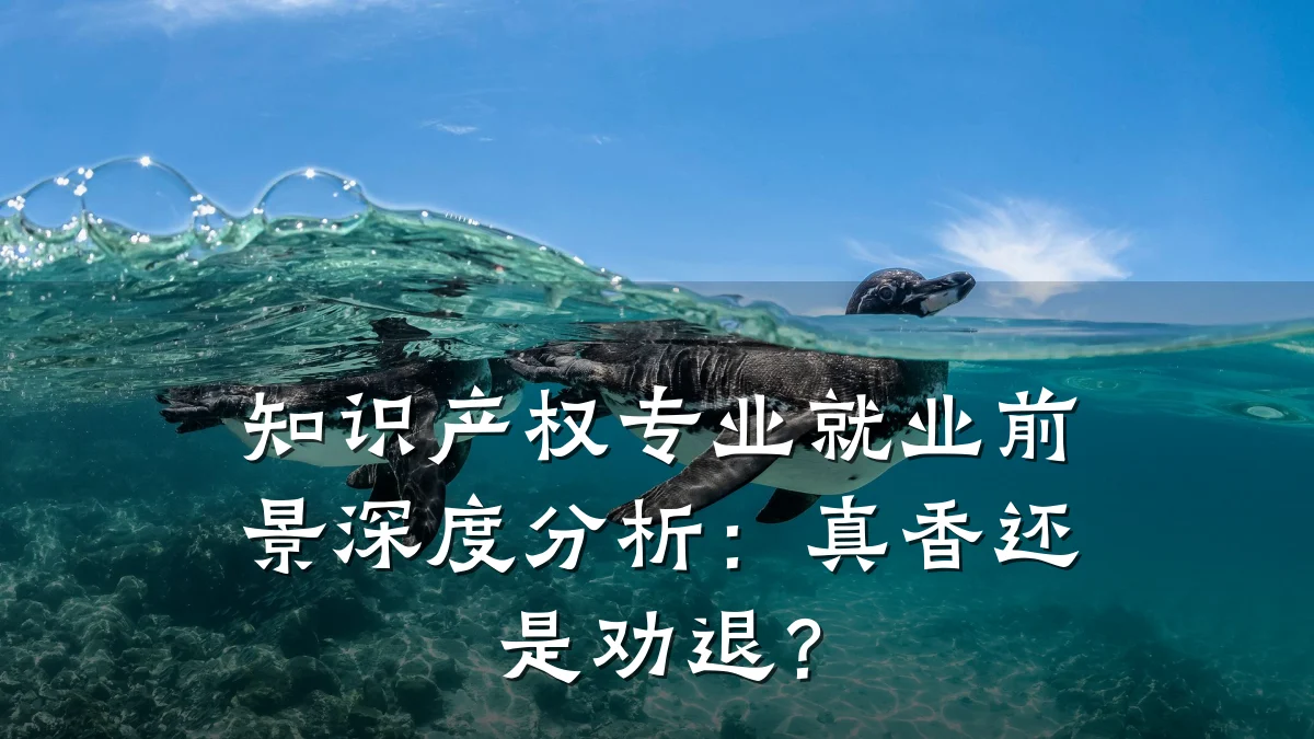 知识产权专业就业前景深度分析：真香还是劝退？