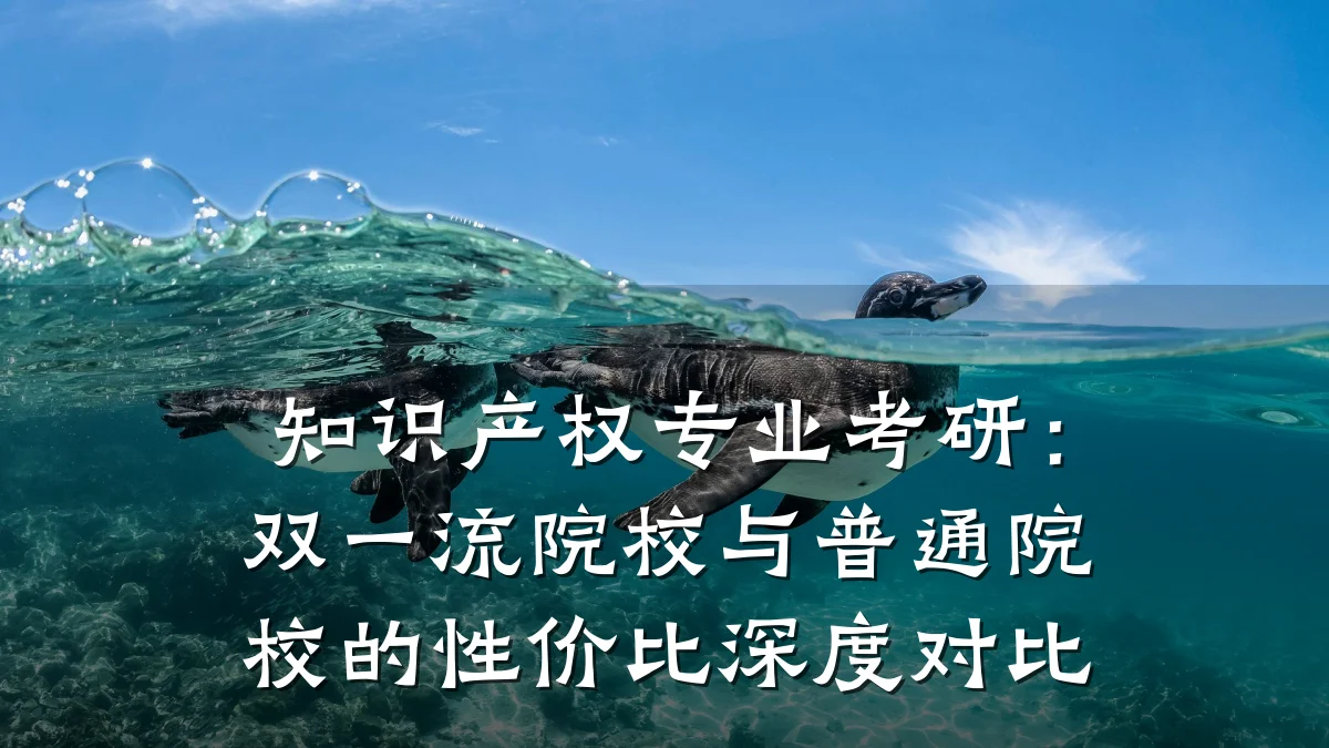 知识产权专业考研：双一流院校与普通院校的性价比深度对比