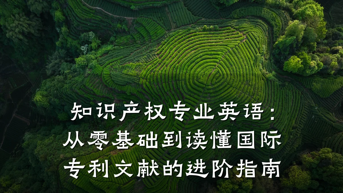知识产权专业英语：从零基础到读懂国际专利文献的进阶指南