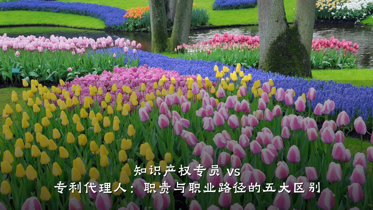 知识产权专员 vs 专利代理人：职责与职业路径的五大区别