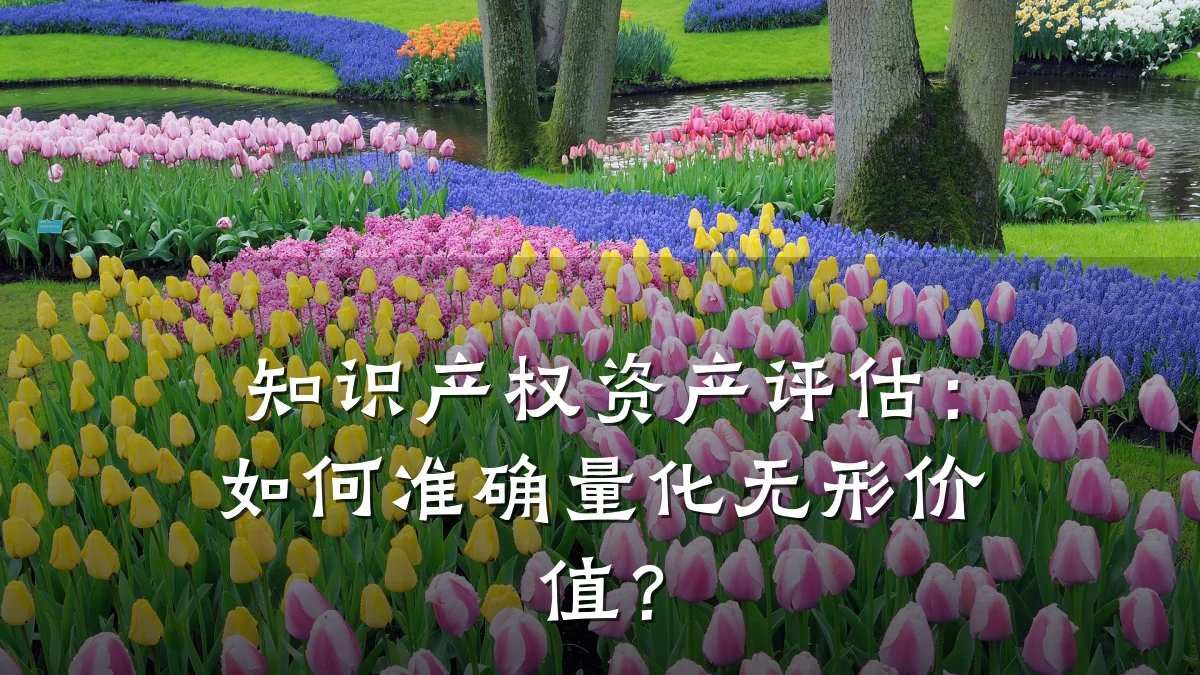 知识产权资产评估：如何准确量化无形价值？