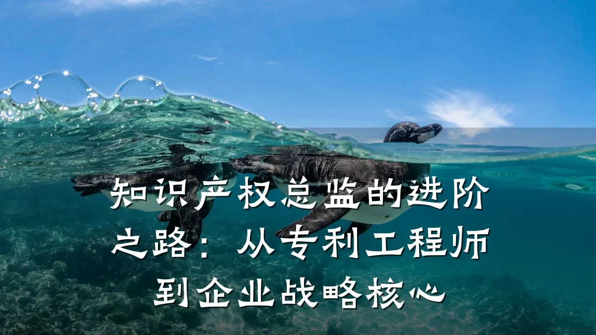 知识产权总监的进阶之路：从专利工程师到企业战略核心