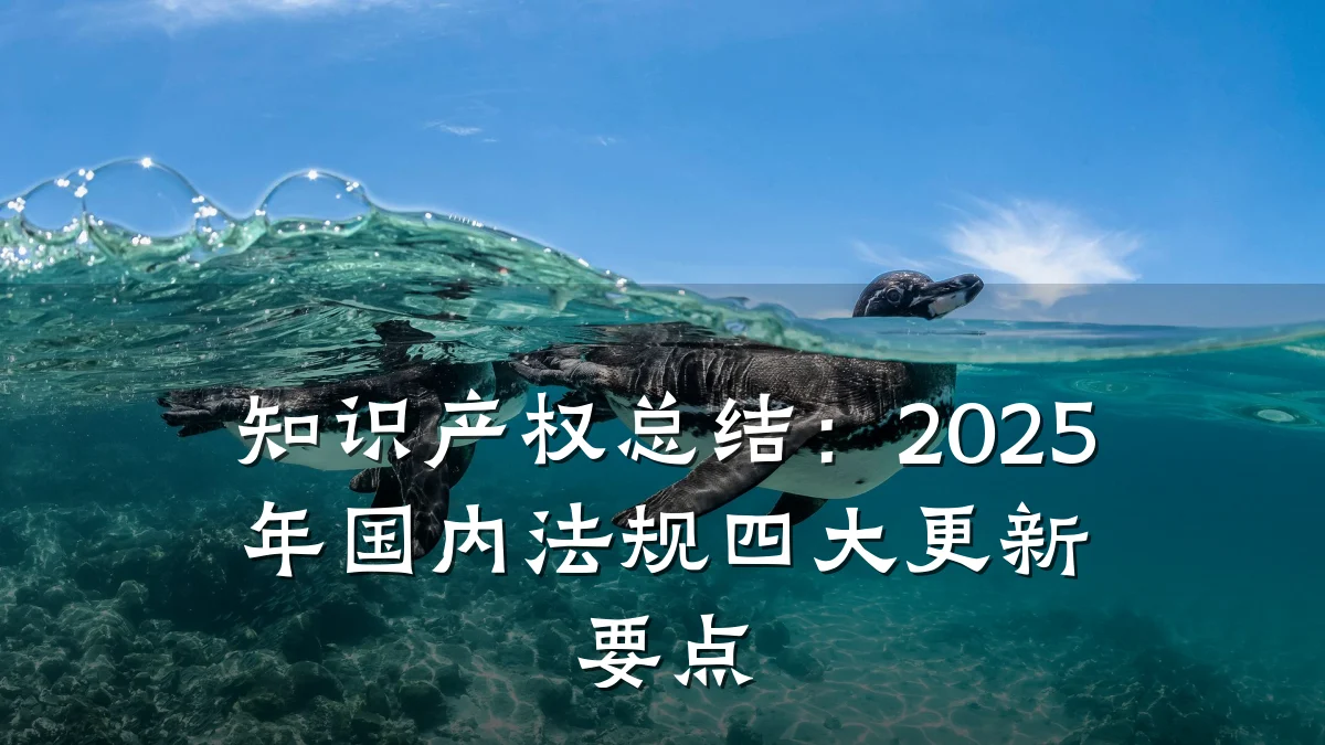 知识产权总结：2025年国内法规四大更新要点