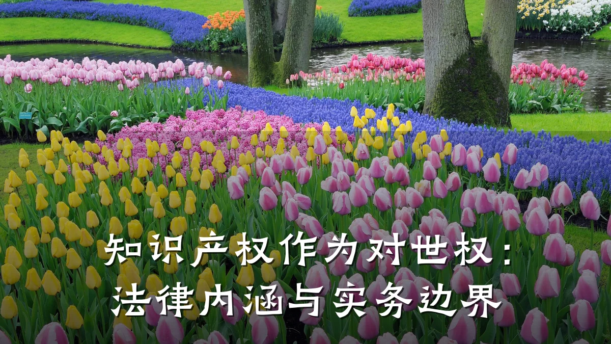 知识产权作为对世权:法律内涵与实务边界