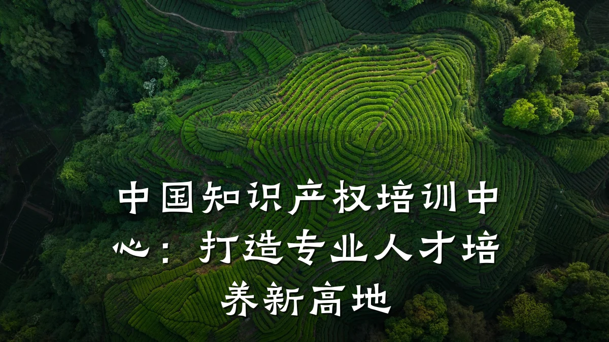 中国知识产权培训中心：打造专业人才培养新高地