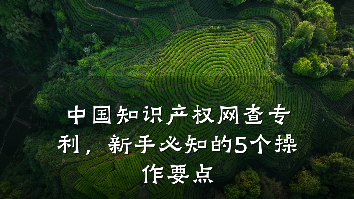 中国知识产权网查专利，新手必知的5个操作要点
