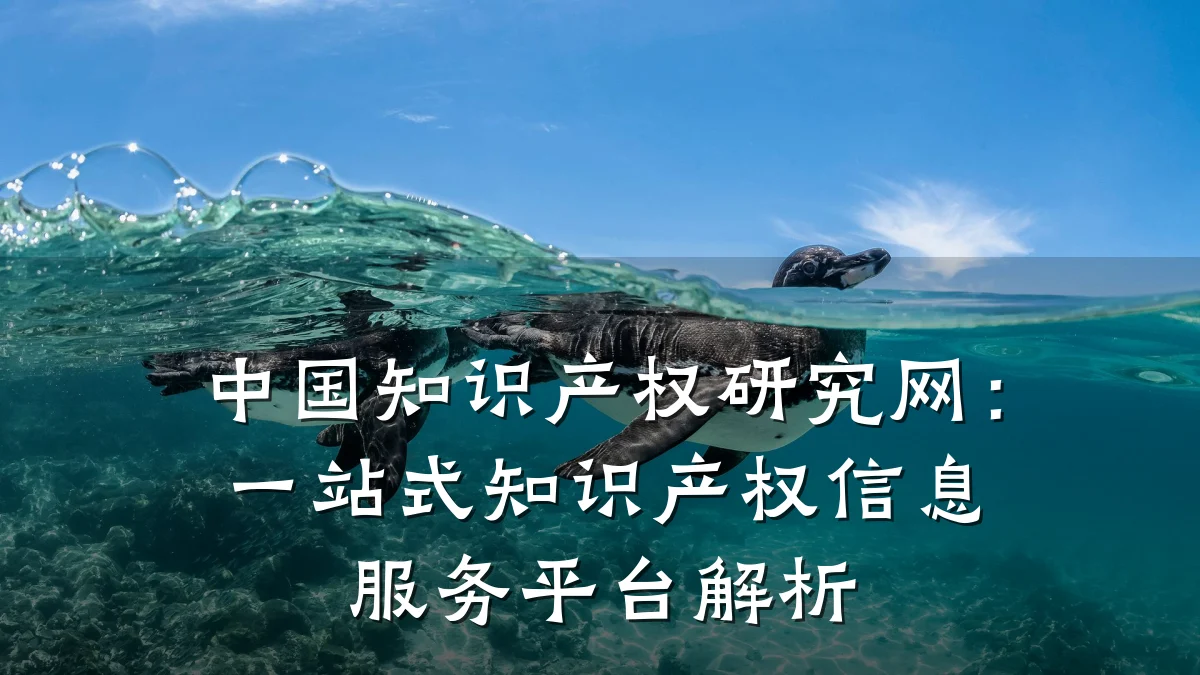 中国知识产权研究网：一站式知识产权信息服务平台解析