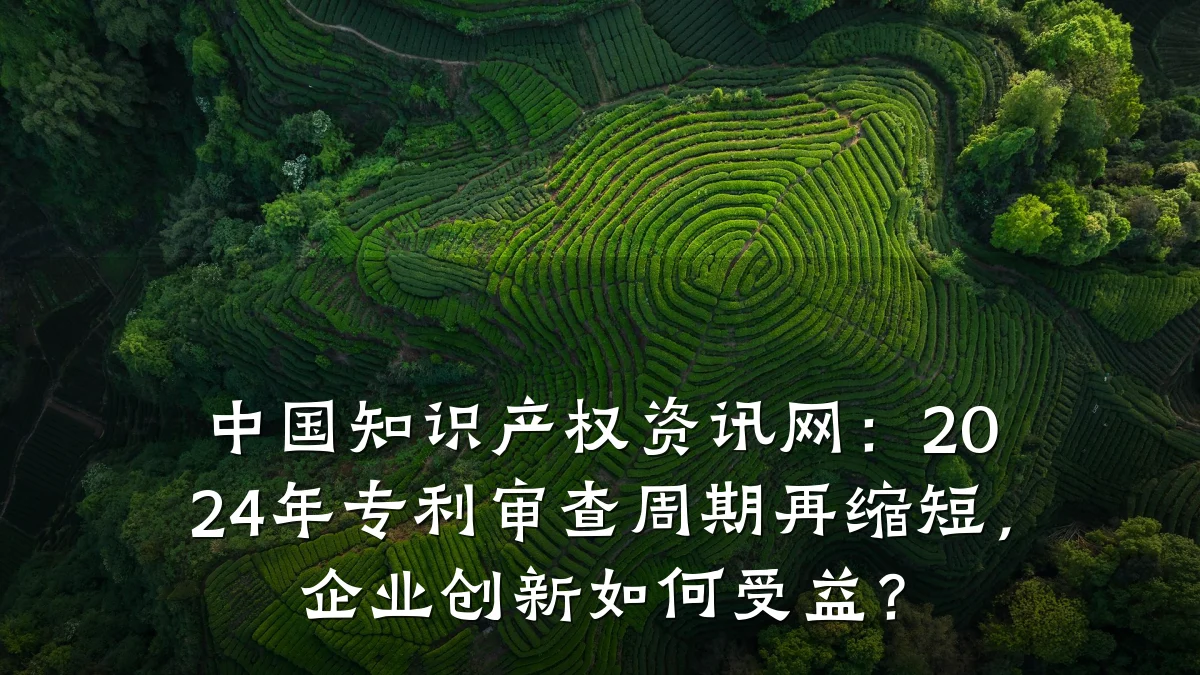 中国知识产权资讯网：2024年专利审查周期再缩短，企业创新如何受益？