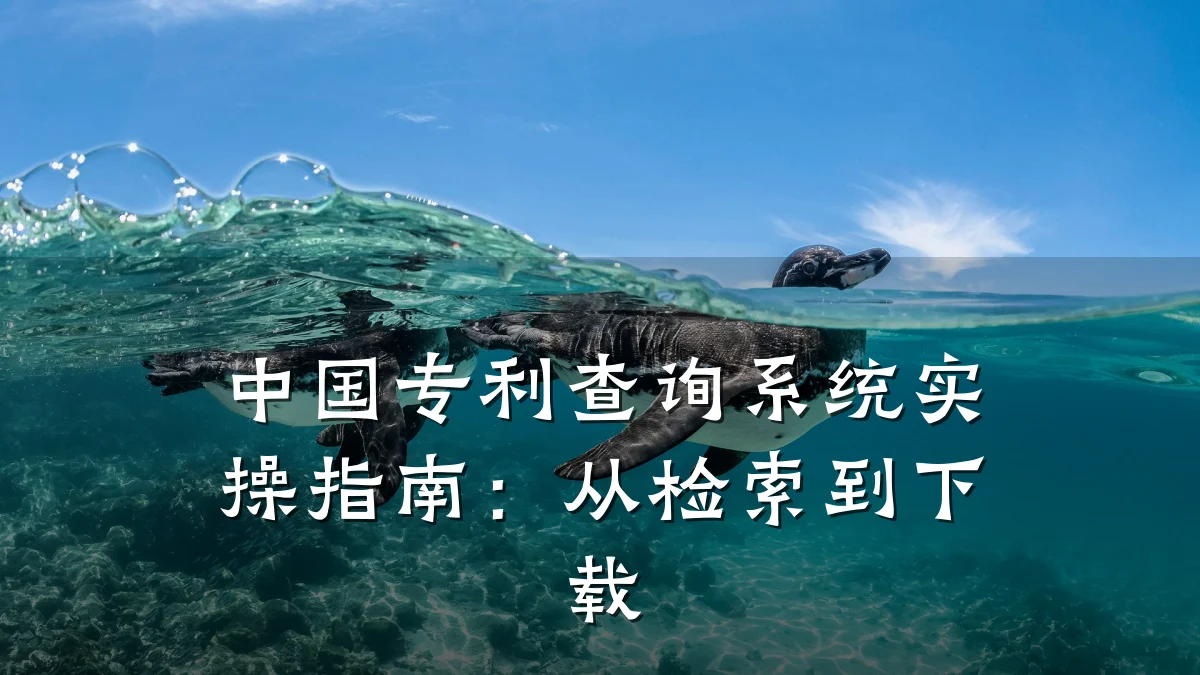中国专利查询系统实操指南：从检索到下载