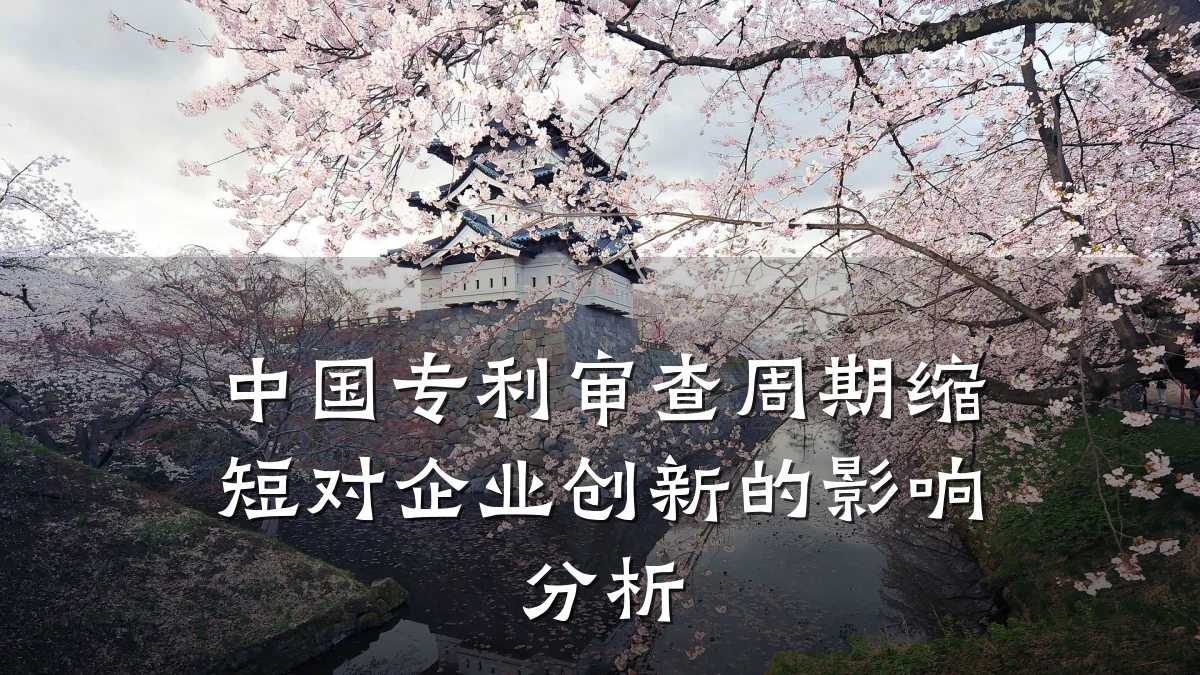 中国专利审查周期缩短对企业创新的影响分析