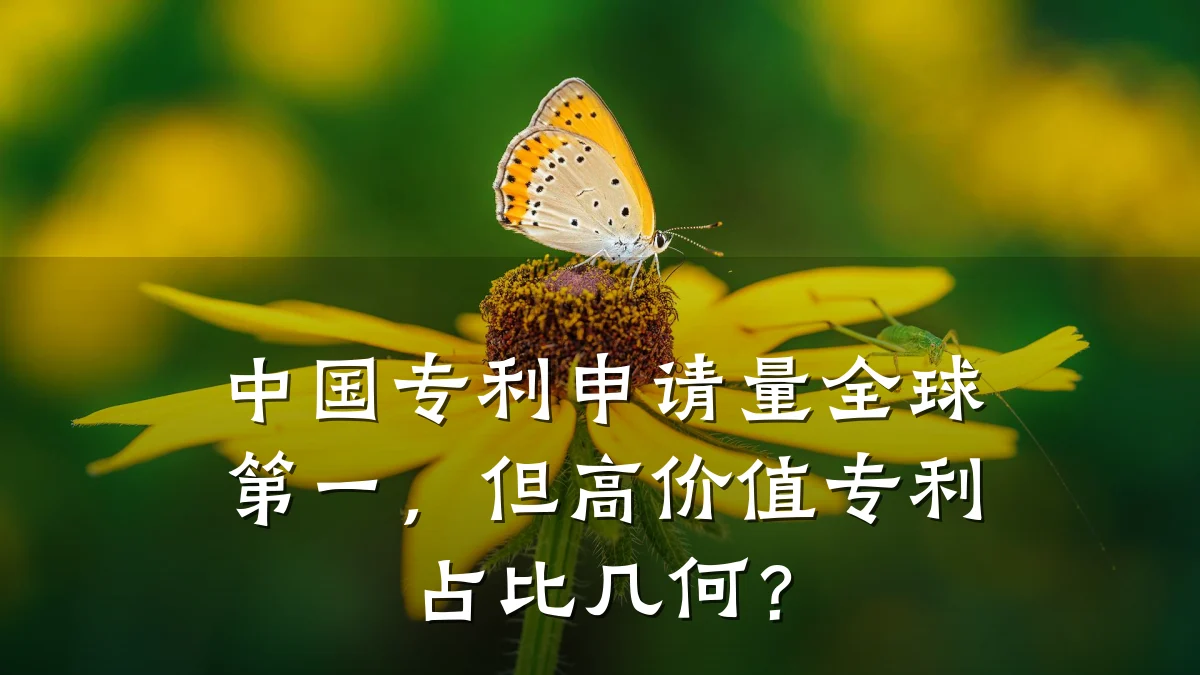 中国专利申请量全球第一,但高价值专利占比几何?