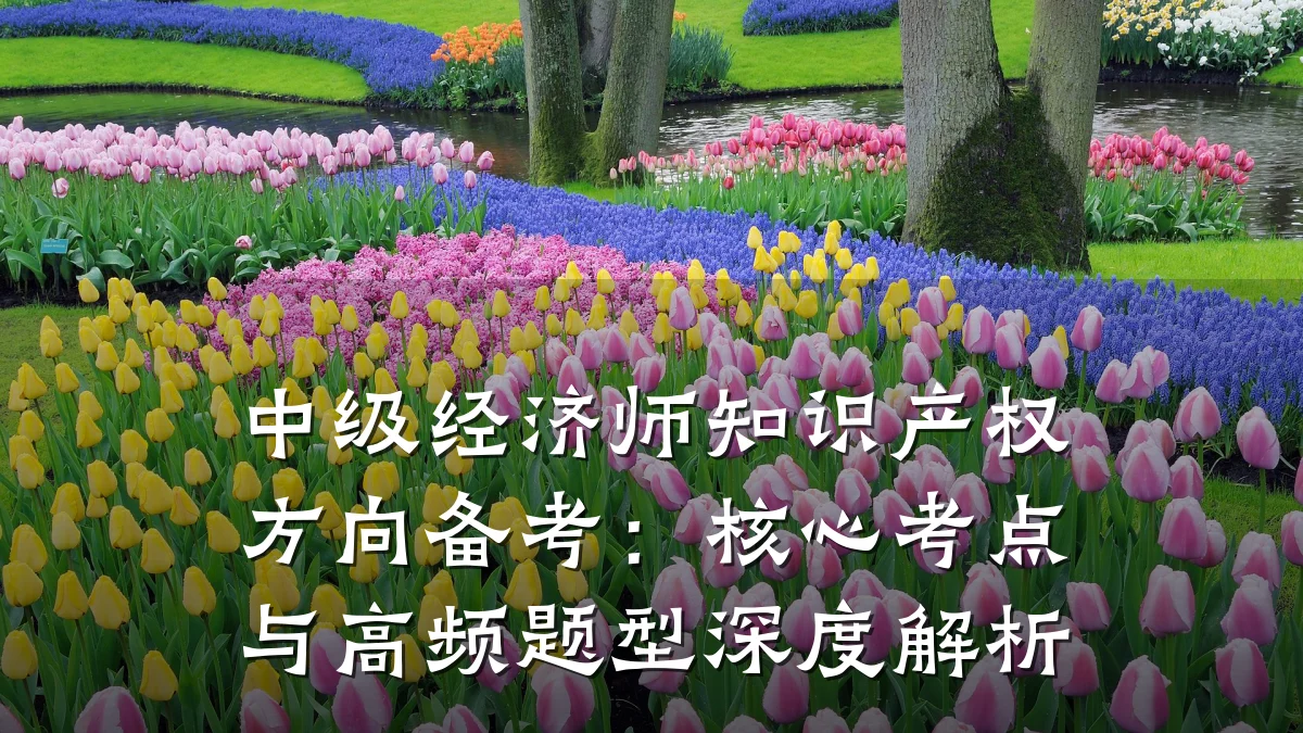 中级经济师知识产权方向备考：核心考点与高频题型深度解析