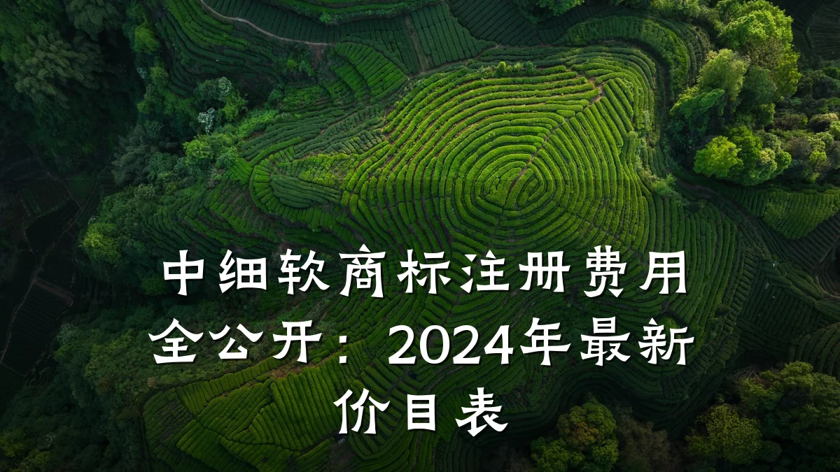 中细软商标注册费用全公开：2024年最新价目表