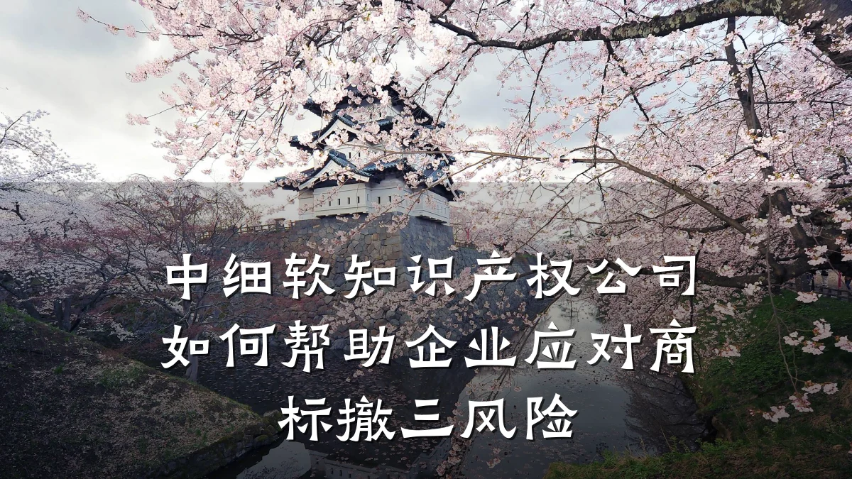 中细软知识产权公司如何帮助企业应对商标撤三风险