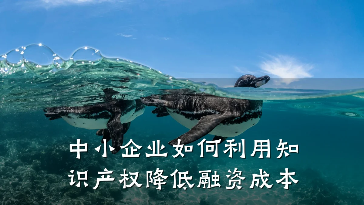 中小企业如何利用知识产权降低融资成本