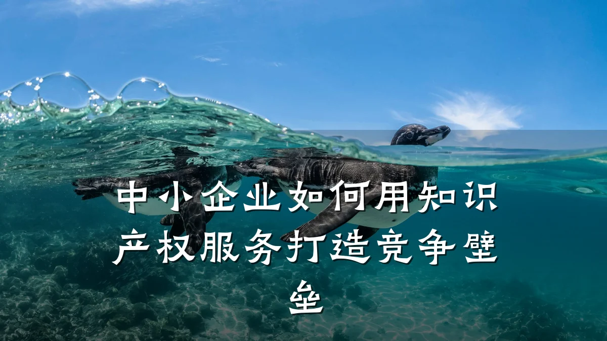 中小企业如何用知识产权服务打造竞争壁垒