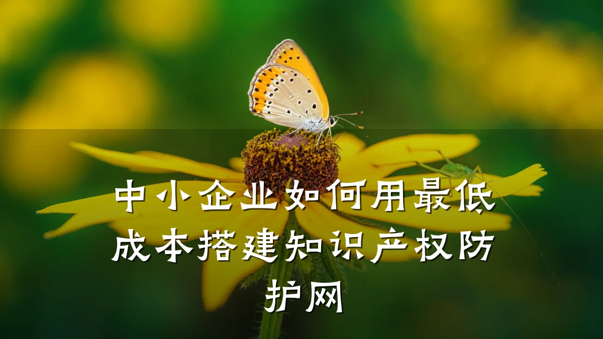 中小企业如何用最低成本搭建知识产权防护网