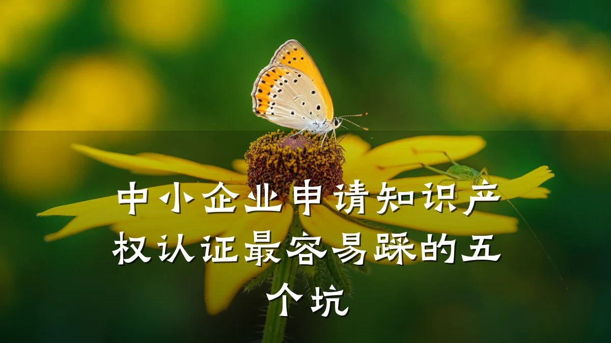 中小企业申请知识产权认证最容易踩的五个坑
