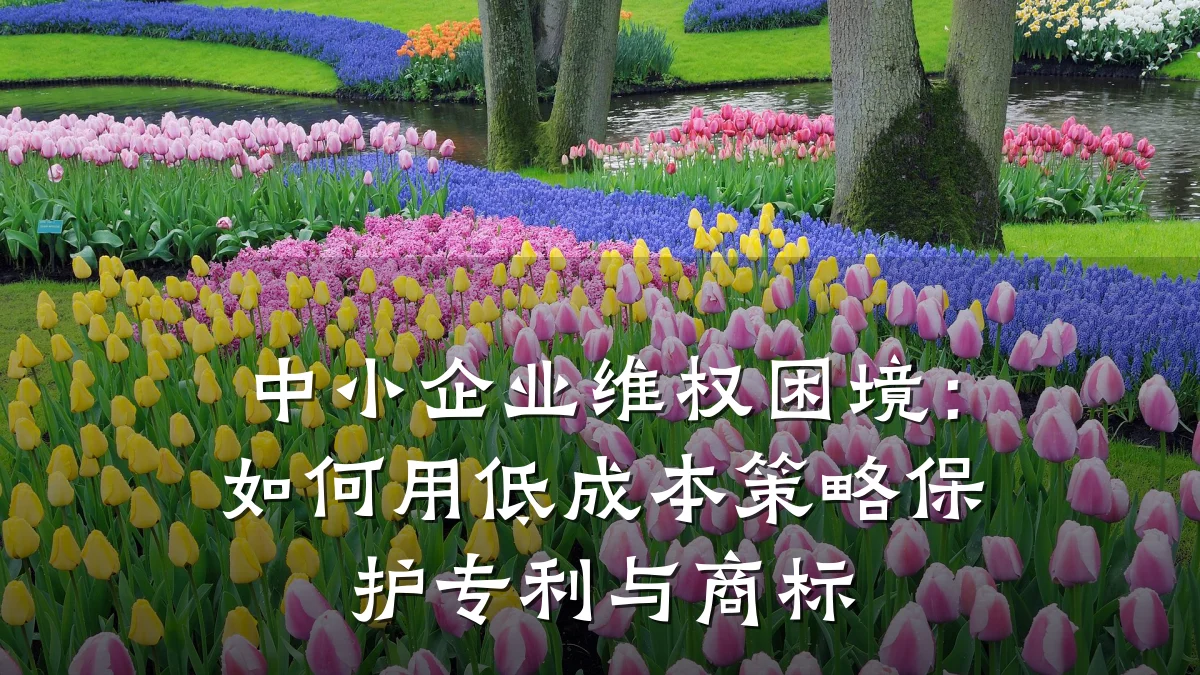 中小企业维权困境：如何用低成本策略保护专利与商标