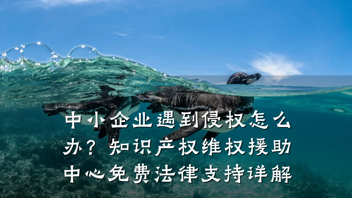 中小企业遇到侵权怎么办？知识产权维权援助中心免费法律支持详解