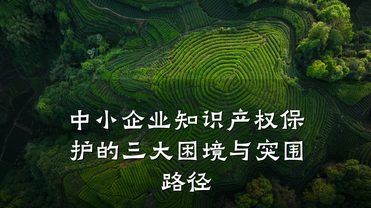 中小企业知识产权保护的三大困境与突围路径