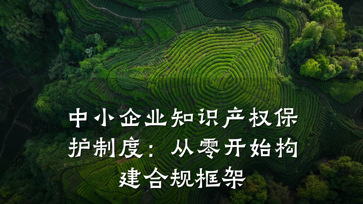 中小企业知识产权保护制度：从零开始构建合规框架