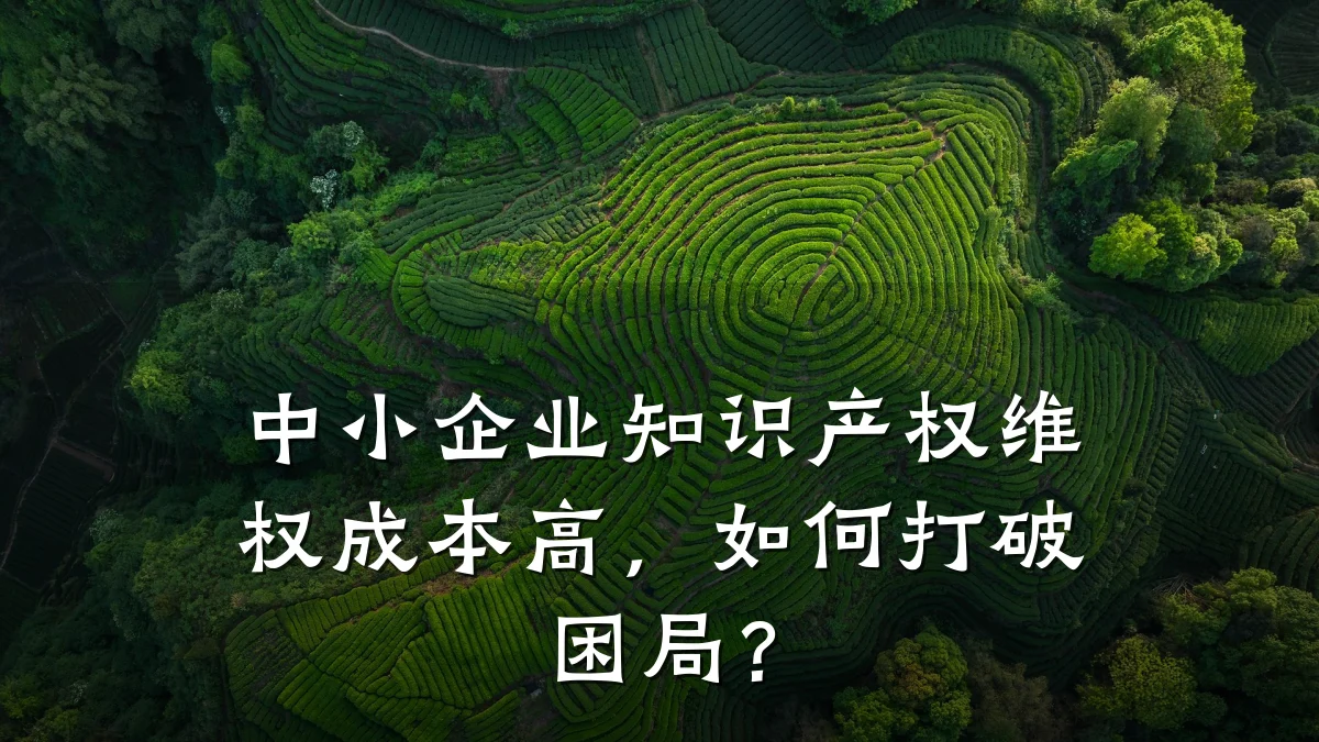 中小企业知识产权维权成本高,如何打破困局?