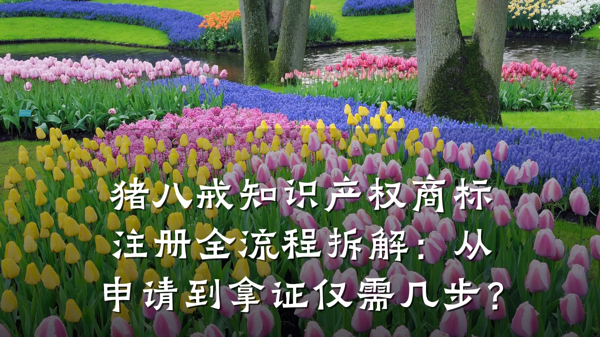 猪八戒知识产权商标注册全流程拆解：从申请到拿证仅需几步？