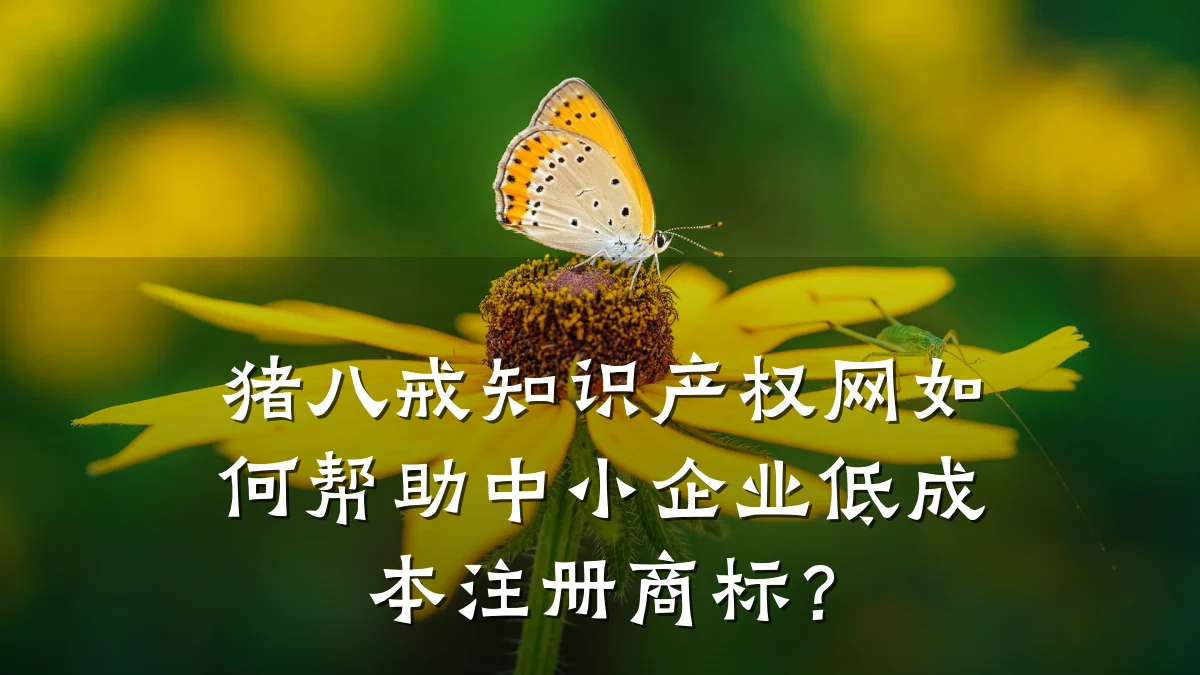 猪八戒知识产权网如何帮助中小企业低成本注册商标？